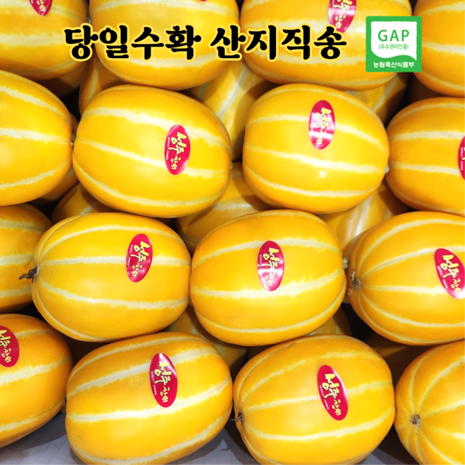[성주산지직송] 참외 당도선별 고당도 성주참외, 1박스, 5kg (혼합)가정용