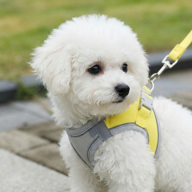 디아쿠아 고양이 강아지 야광 빛반사 벨크로 하네스 리드줄 세트, 옐로우그레이, 1개