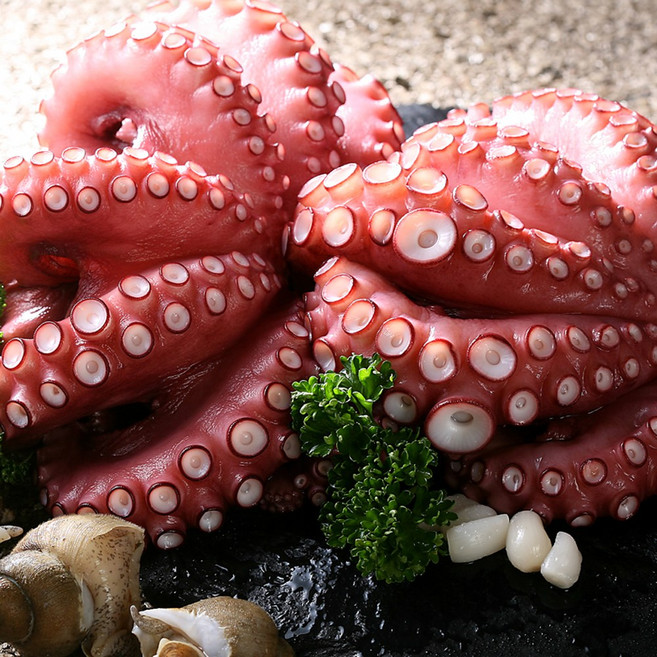 비비수산 세척손질문어(제수용 한마리) 700-795g, 1개, 700~795g