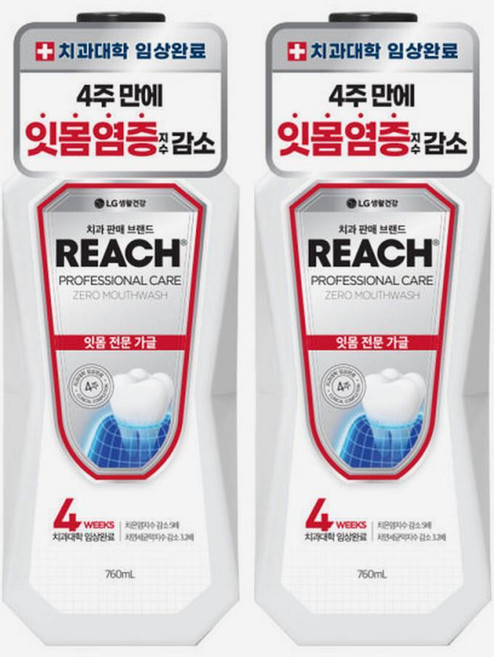 리치 프로페셔널 잇몸 가글 구강청결제 760ml 2개