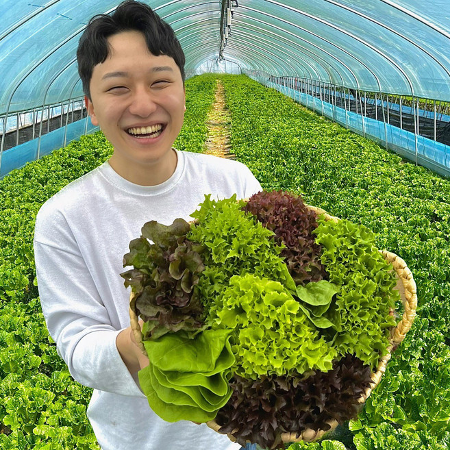 농장스 모듬 쌈 채소 유러피안 샐러드 유럽 상추, 1개, 500g