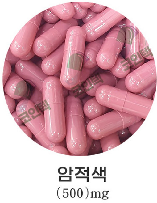 코인텍 빈알약 공캡슐 500개1팩 100mg~500mg, 500mg, 1세트, 암적500mg