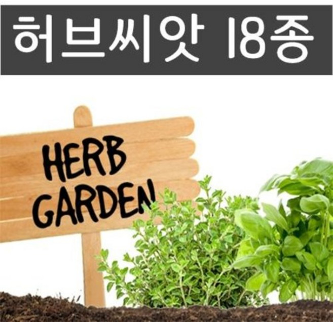 허브씨앗 모음/씨앗판매/허브/씨앗, 9.차이브, 1개