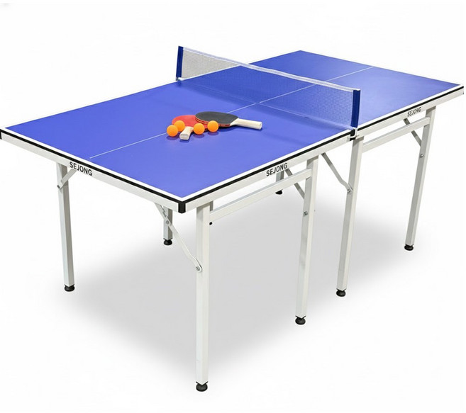 세종 가정용 접이식 미니 탁구대 이동식 실내 미들, 1개