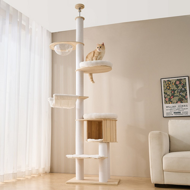 펫인꼬 고양이 원목 갤럭시 캣폴 캣타워, 아크릴 해먹, 1개