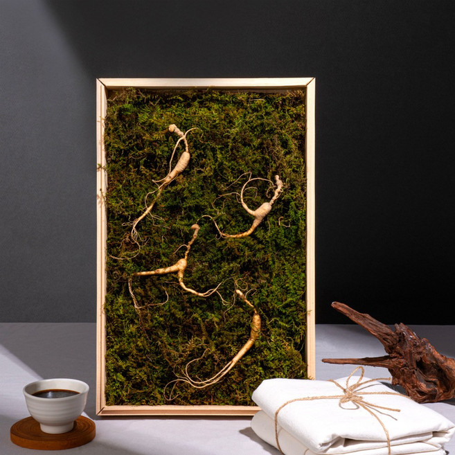 한양산삼 8년근 4뿌리 산삼 산양산삼, 1박스, 4g