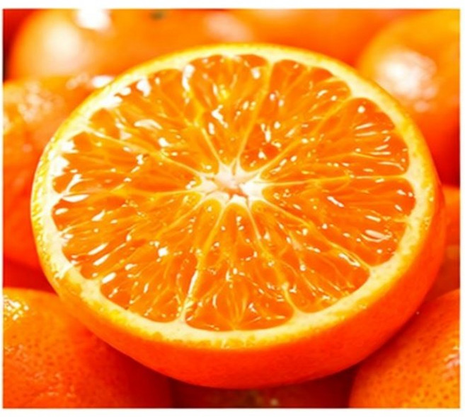 [3일간초특가] 제주직송 새콤달콤 제주도 천혜향, 1개, 10kg