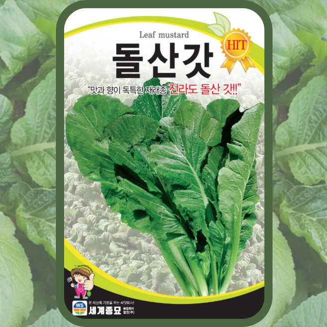주주씨앗 채소 씨앗 모음 / 상추 쌈채소 유럽상추 치커리 다채 시금치 등, 86. 돌산갓 10g, 1개