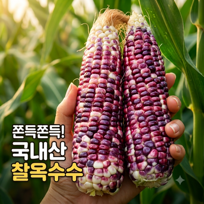 8위 - [농가직송] 국내산 강원도 쫀득한 흑찰옥수수, 1박스, 10개