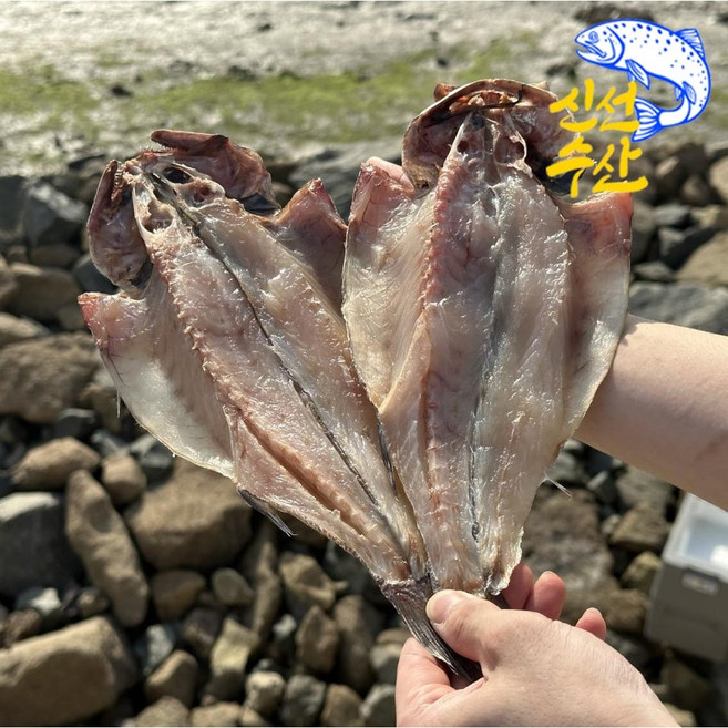 목포 해풍에 말린 반건조 민어 손질 통민어 특대 급냉, 1세트, 8미(1600g)