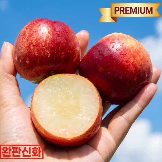 [압도적1등] 과즙폭발 신비복숭아 꿀당도 초특가 산지직송, 1박스, 1kg(중소과)