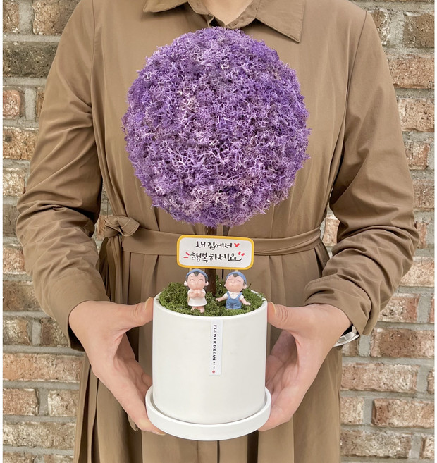 플라워드림 35cm 대형 스칸디아모스 토피어리 화분, 1개, 퍼플