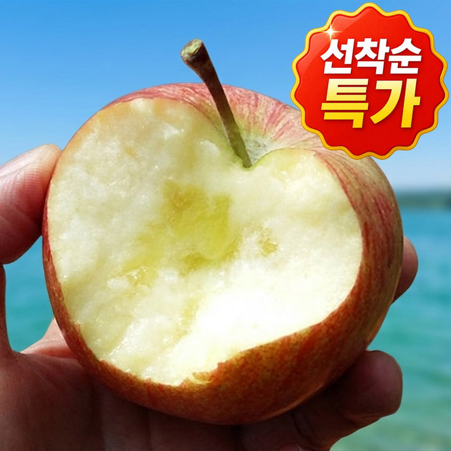 [일100박스한정] 선착순특가 최고의맛 산지직송 부사사과, 1박스, 10kg (중대과)