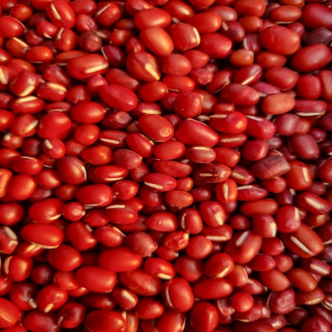 [25년산 잡곡] 국산 적두 팥 2kg, 1개