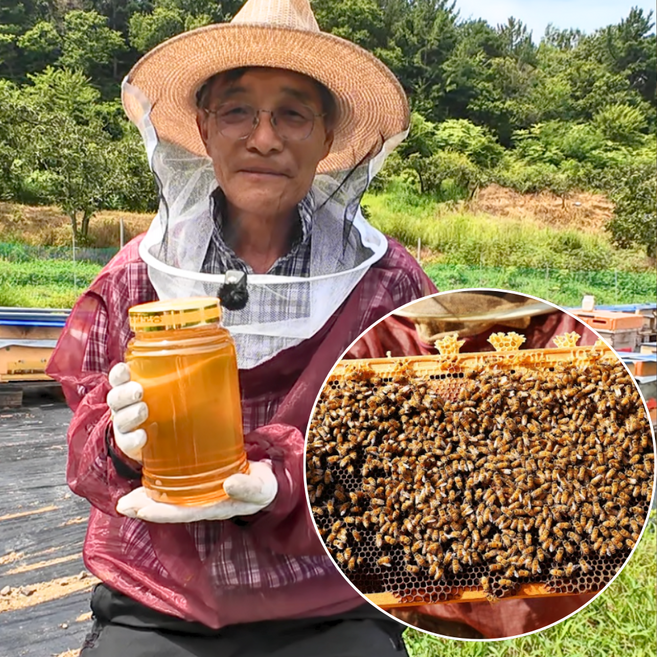 산지한입 천연벌꿀 국산 아카시아꿀 아카시꿀 100% 자연산, 2.4kg, 1개
