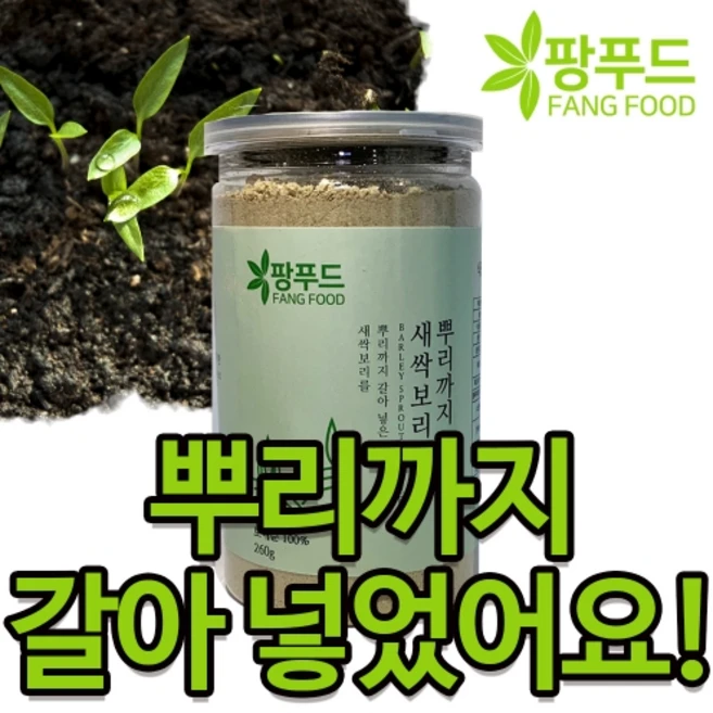 팡푸드 새싹보리분말 260g 밀폐용통제품 뿌리까지 안동보리새싹, 1개 - 쿠팡