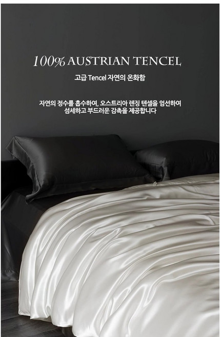 Nobletron 프리미엄 오스트리아 렌징 텐셀 모달 100 침대 커버 4종 세트 항진드기 알러지케어 항균 호텔 침구