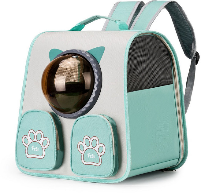 반려동물 투명 우주선 백팩반려동물 통풍 백팩형 이동가방, 라이트블루, 1개