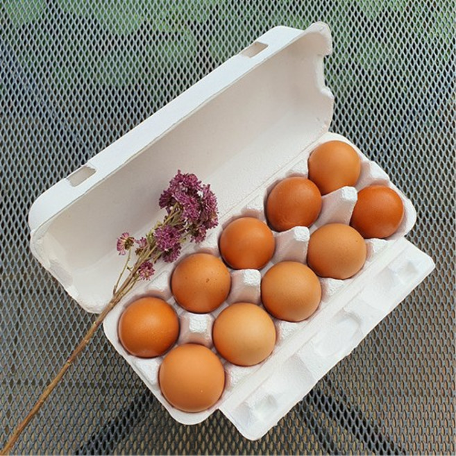 10구 밀폐 종이계란판 30개묶음 난좌 선물용 전도용 판촉용 달걀포장 다벅스