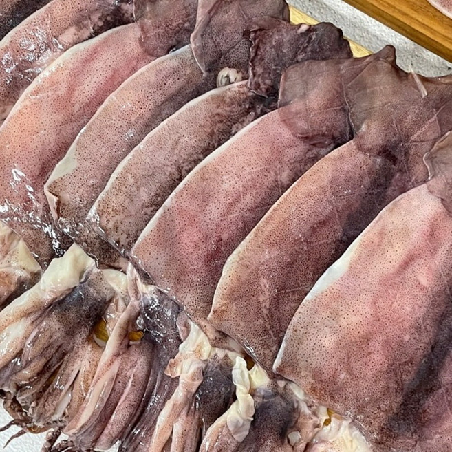 국내산 반건조 오징어 20미, 1