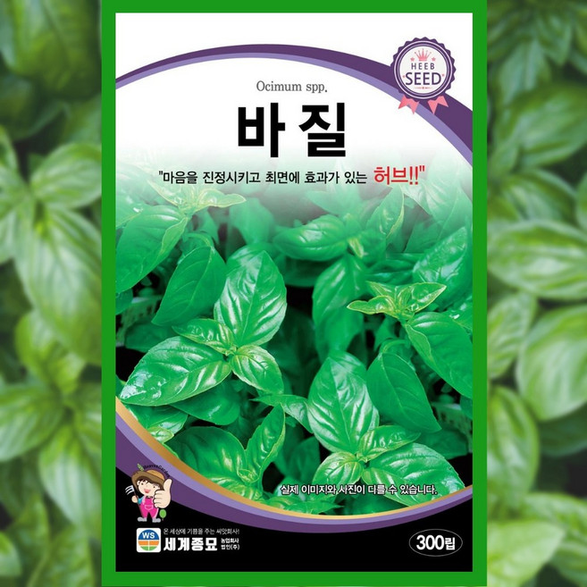 바질 씨앗 300립 바실 허브 종자 텃밭 화단