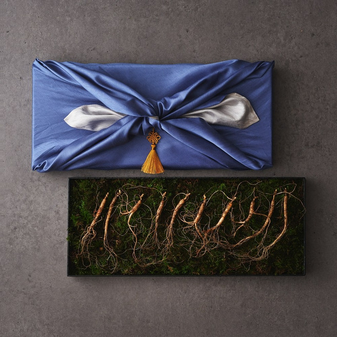 상산재 산양삼 장뇌삼 산양산삼 산삼 5년근 선물세트, 3g, 10개