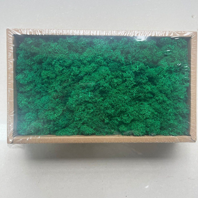 永生苔蘚 馴鹿苔 花藝材料, 024翠綠