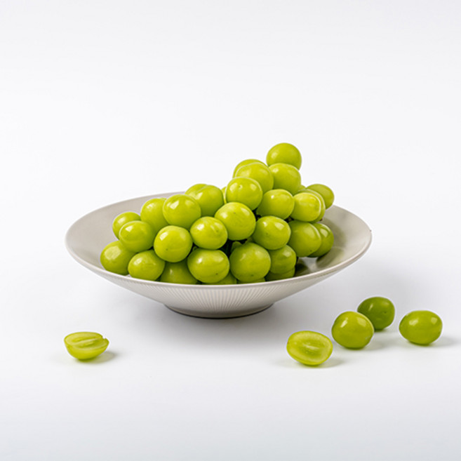 관우농가 하우스 샤인머스켓