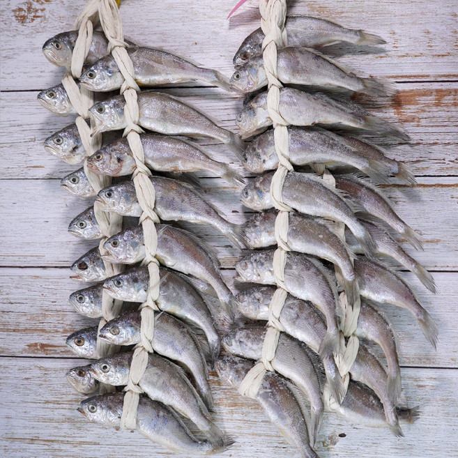 산지직송 영광 법성포 가정용 참조기 굴비 20미, 영광 굴비 20미 - 1.7kg, 1개