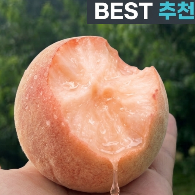 [당도선별] 과즙가득 아삭한 딱딱이 복숭아, 1박스, 2kg (소과)