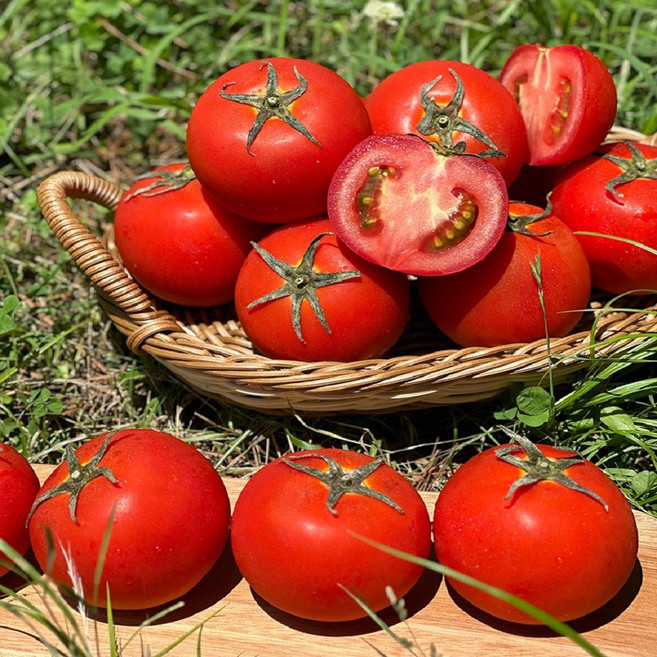 스테비아 완숙토마토 2kg (PL0005784), 1박스