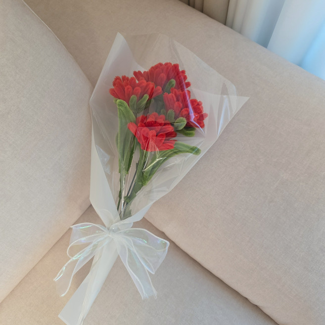 [자체동영상 제공] 헬로우하비 어버이날 모루꽃 꽃다발 만들기 DIY키트, 1세트, 카네이션 레드