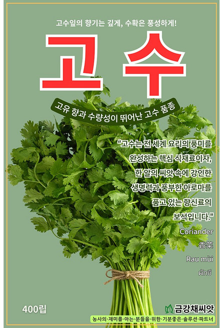 고수 종자400립, 1개