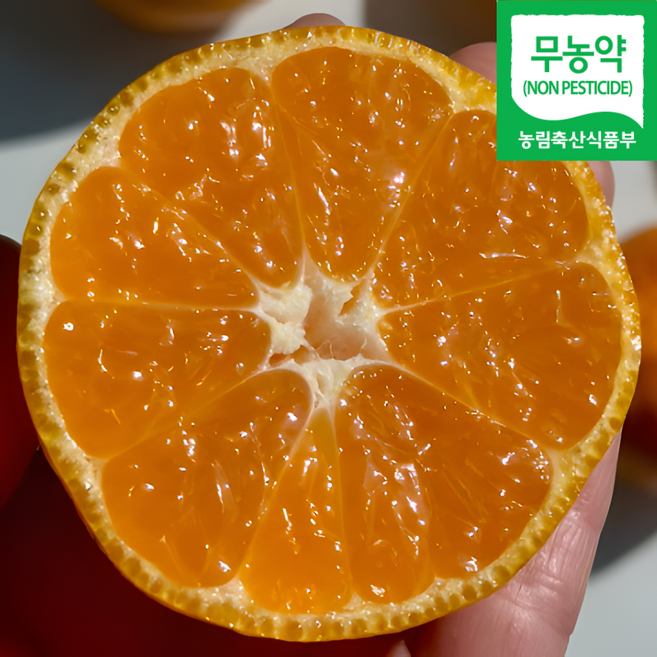 [백화점납품] 프리미엄 17brix 제주 카라향, 1박스, 3kg