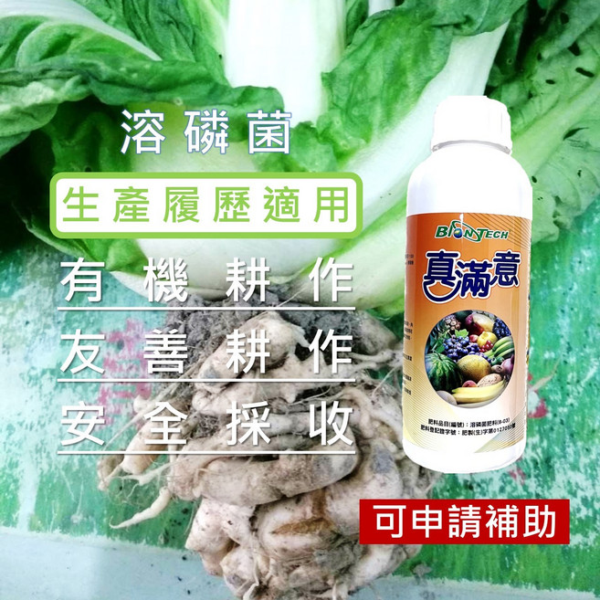 BIONTECH 喜滿意 溶磷菌肥料 4公升 適用生產履歷 友善耕作, 1個, 1L