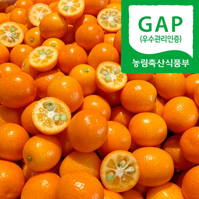 [마지막특가] 새콤달콤 제주 낑깡 금귤, 1박스, 500g