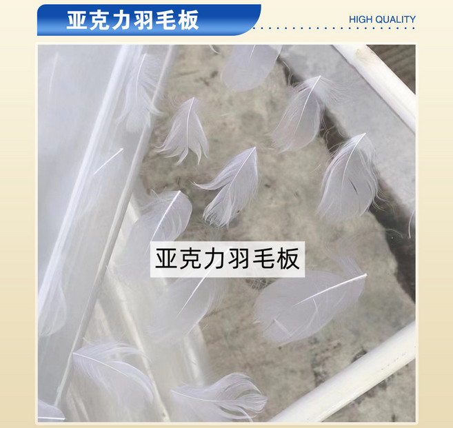 亞克力羽毛板 壓克力板 裝飾板, 1個, 【亞克力羽毛板】樣品價