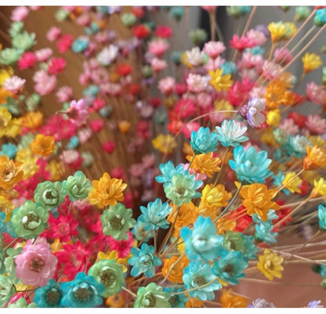 巴西小星花迷你永生花束 居家店面佈置DIY乾燥花材, 混色/一束30支