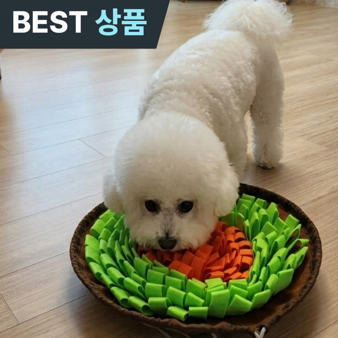 위브젠 풀밭 노즈워크 강아지 장난감, 초록주황, 1개