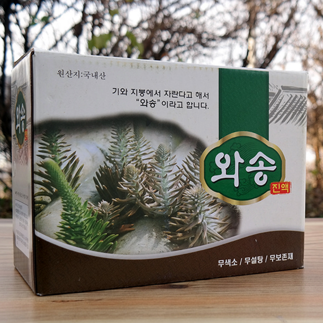 국내산 와송엑기스 선물 기와지붕 와송즙 100ml 60포 4무 무색소 무과당 무방부제 무첨가제 1세트, 1개, 6L