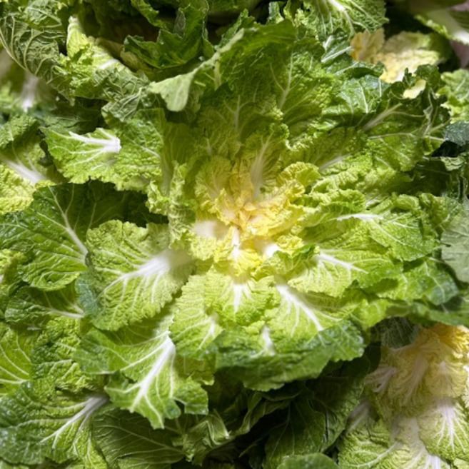 [화제의 봄동비빔밥] 국내산 산지직송 특상품 제철 봄동, 1박스, 2kg