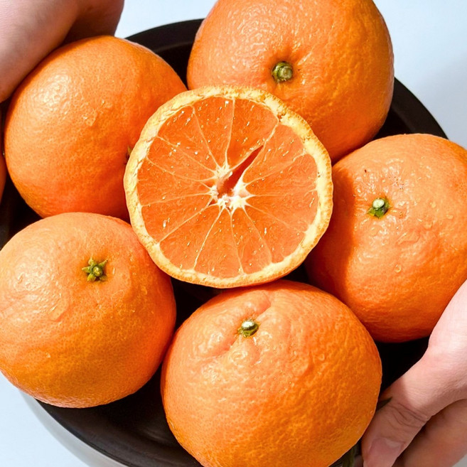 [오픈특가] 제주 카라향 고당도 감귤, 1개, 5kg 대과