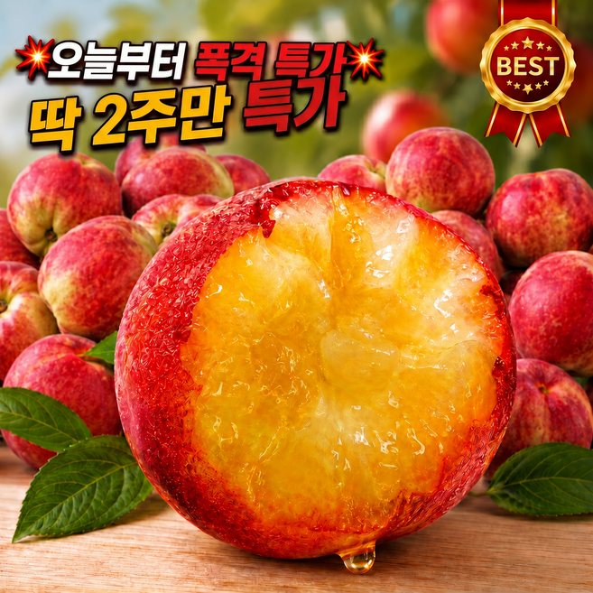 [2026년 초특가] 고당도 산지직송 신비복숭아 대과 당일수확, 1박스, 1kg (대과)
