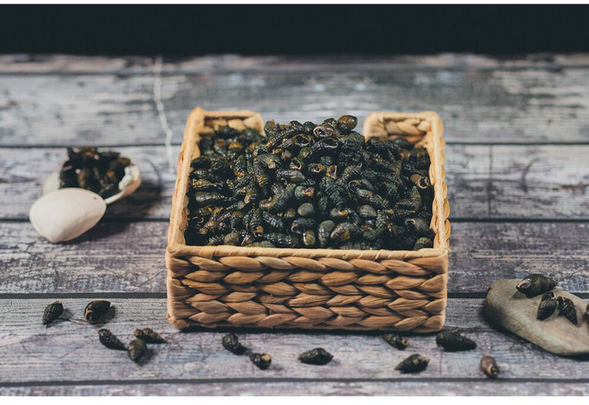 제천애 강원도 자연산 생다슬기 1박스, 2kg, 1개