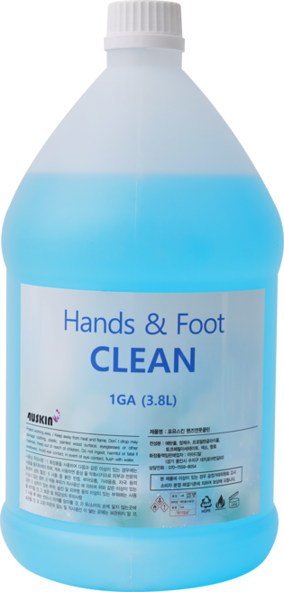 핸드풋 클린세정 소독제, 3800ml, 1개, 3.8L
