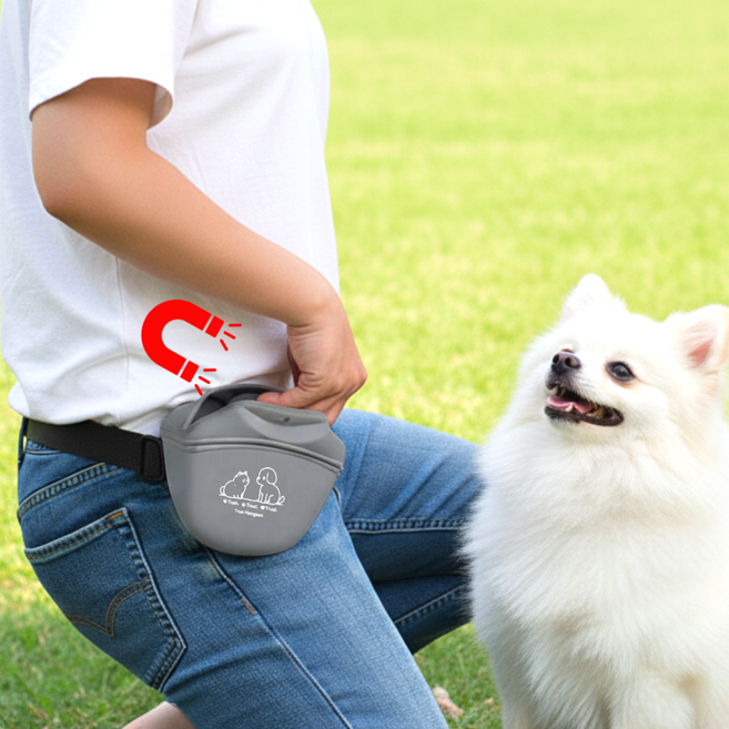 트루행센 반려동물 간식가방 벨트형 트릿백, 1개, 그레이