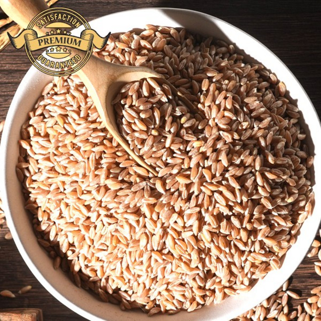 [품질 정품 인정 고대 곡물 파로]수입 저당 파로 곡물 파로쌀 엠머밀, 1박스, 1kg