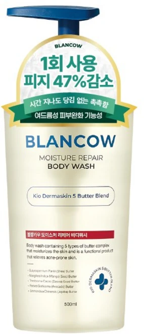 블랑카우 BHA 여드름 기능성 바디워시, 1개, 500ml - 쿠팡