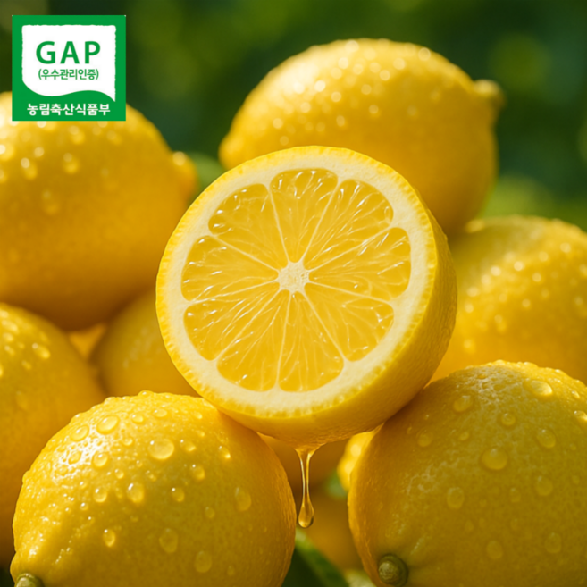 [품질보장] 제주 레몬 국산, 1박스, 1.5kg 특품 (사이즈 혼합)