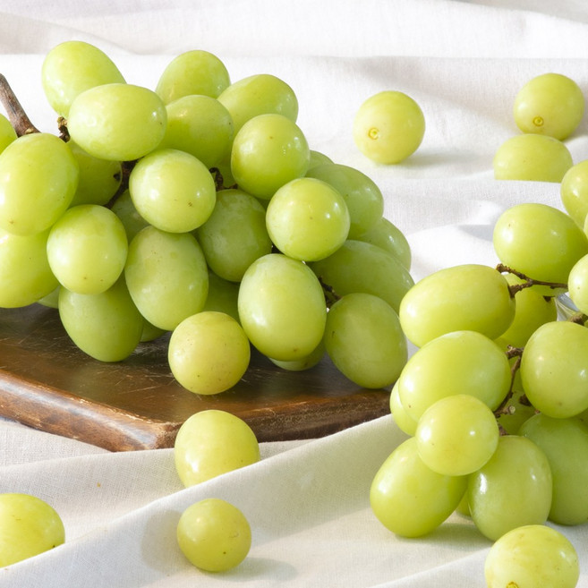 수입산 씨없는 고당도 애플청포도, 1개, 1kg